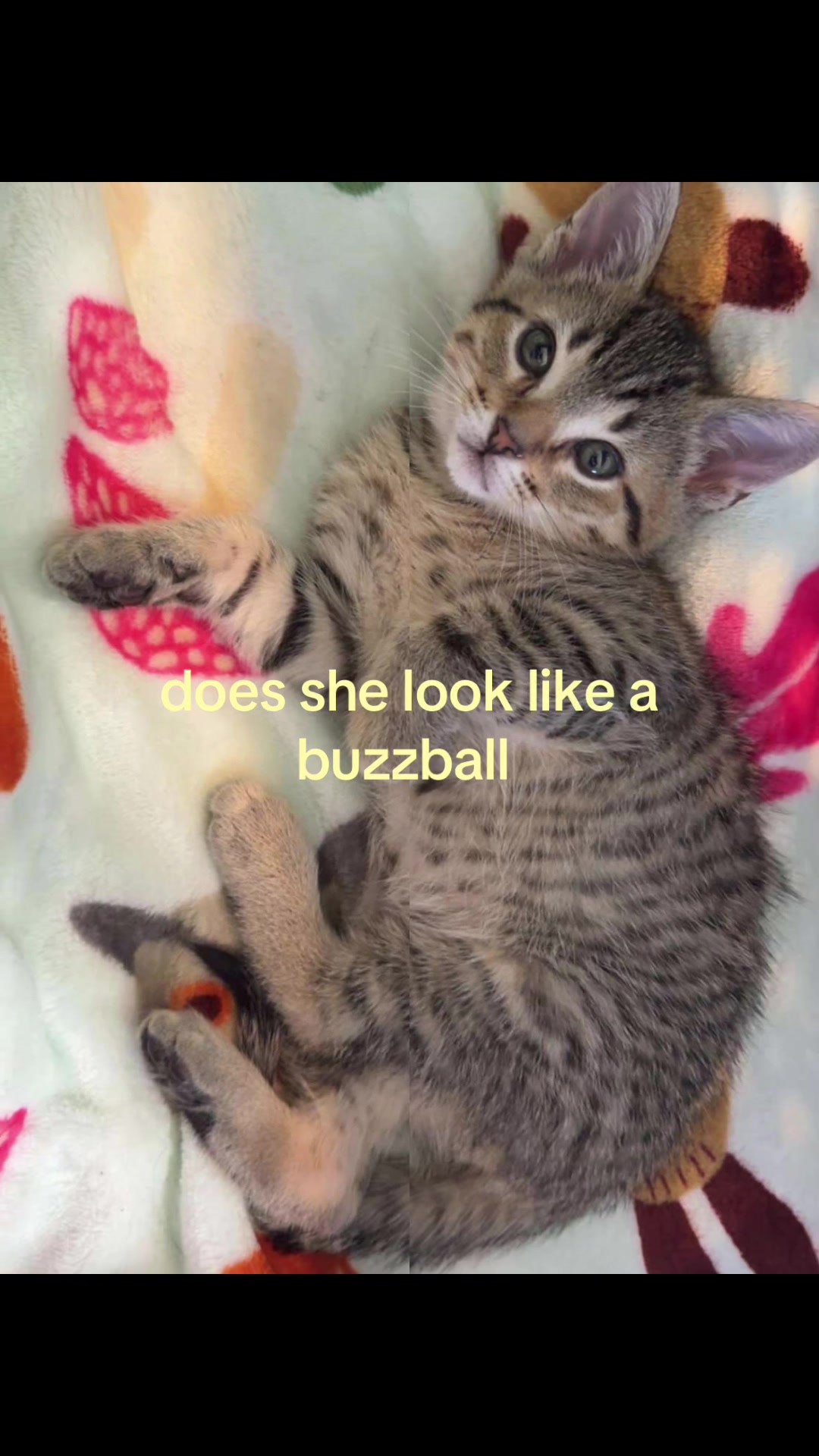 @dookiequeen01