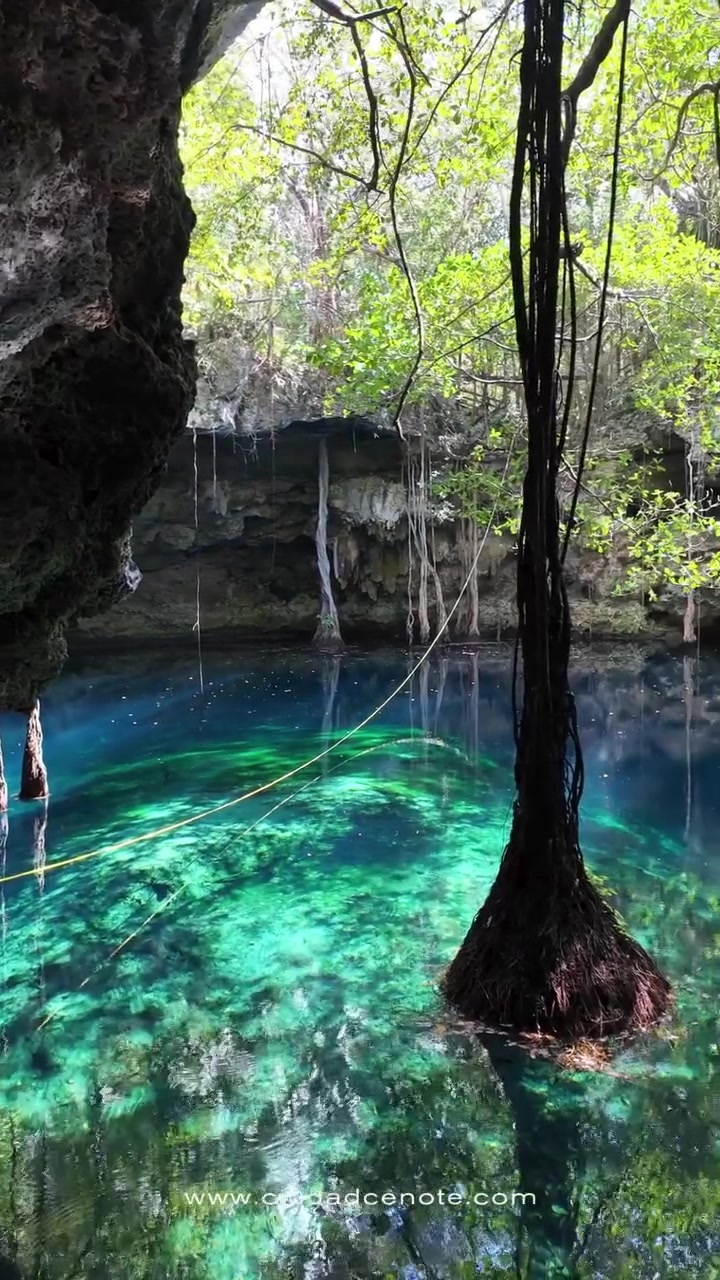 @Ciudad Cenote