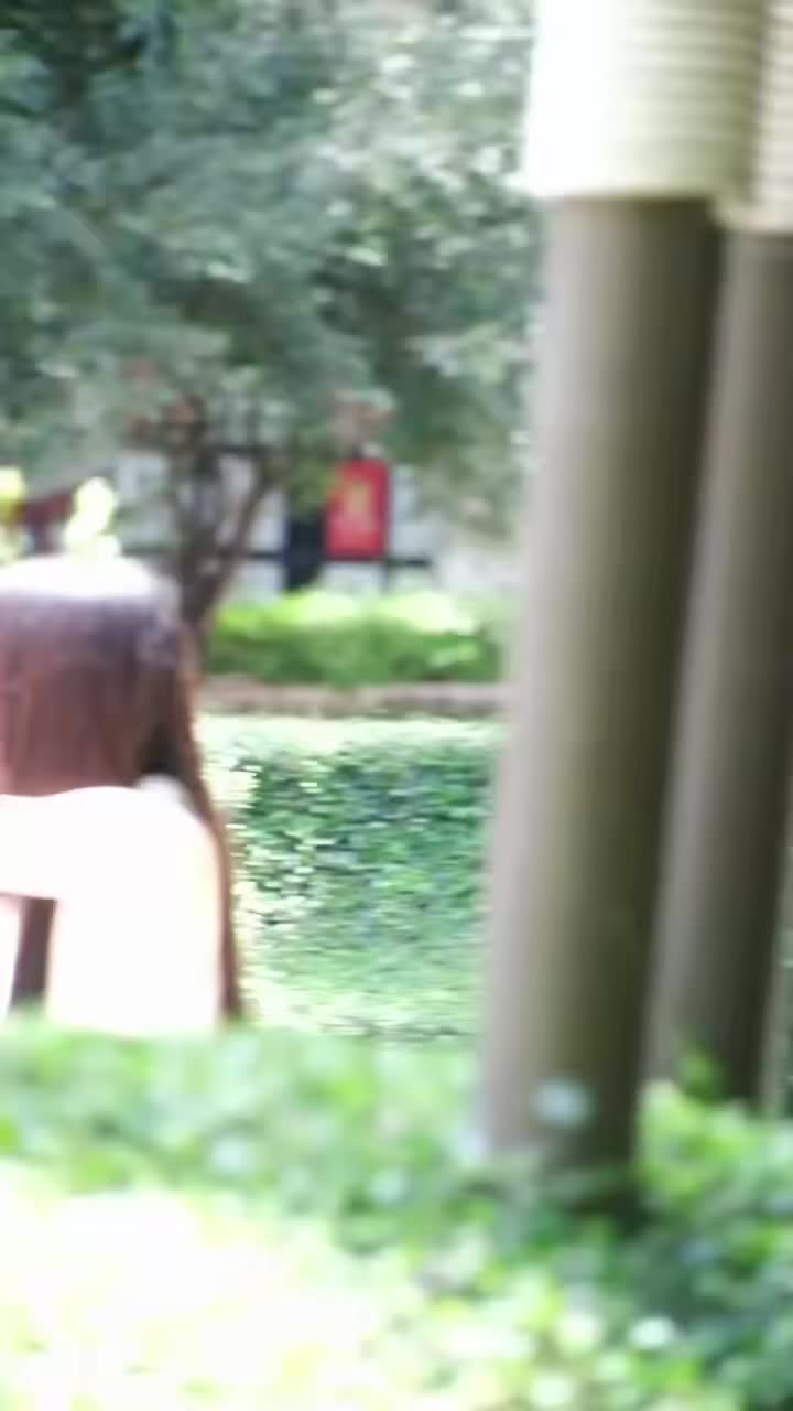 @Y
