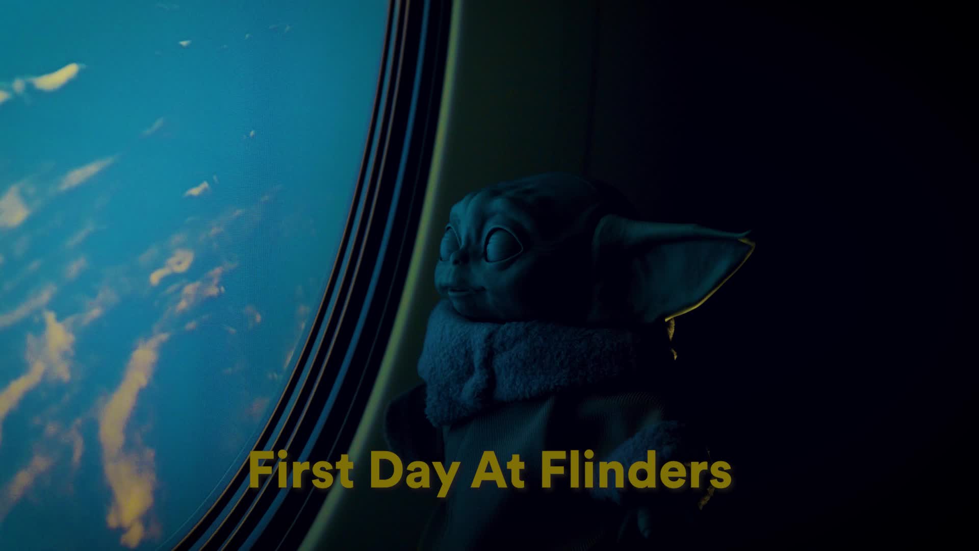 @Flinders University