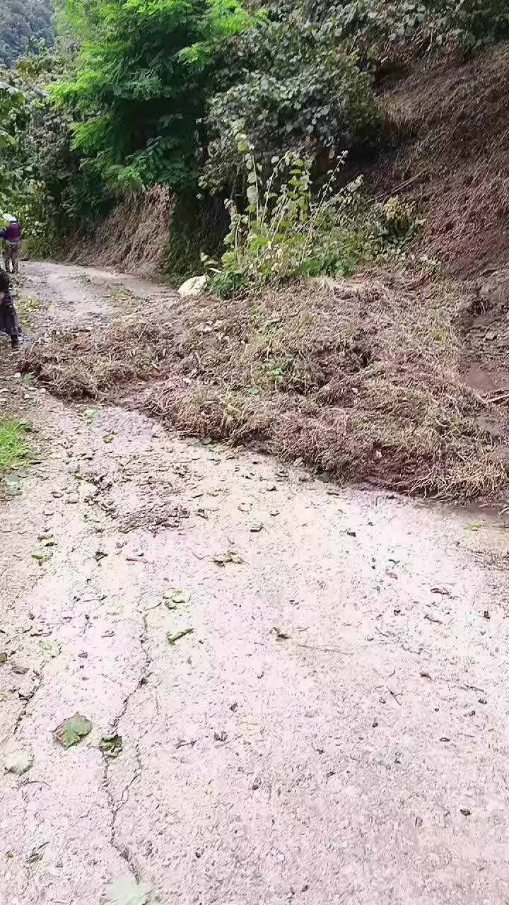 @KRALİYET ÇİTASİ
