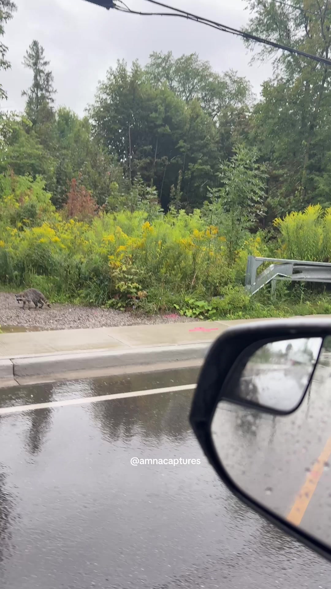 @Nature lover  🇨🇦