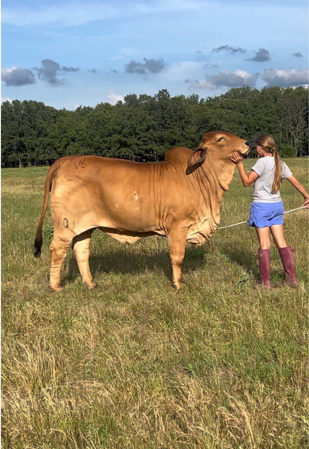 @The V6 Ranch