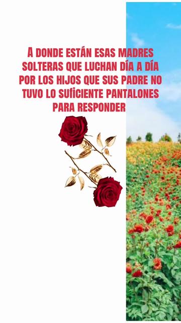 @Josefa soc 🇬🇹🇬🇹💔💔💔💔💔