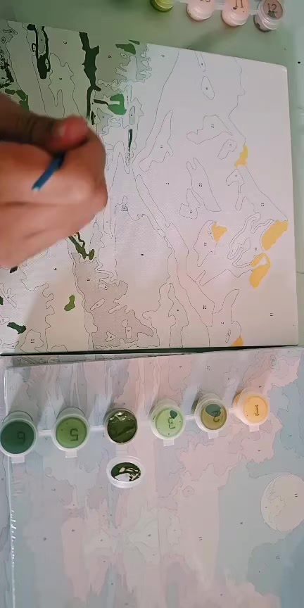 @auroracorpid