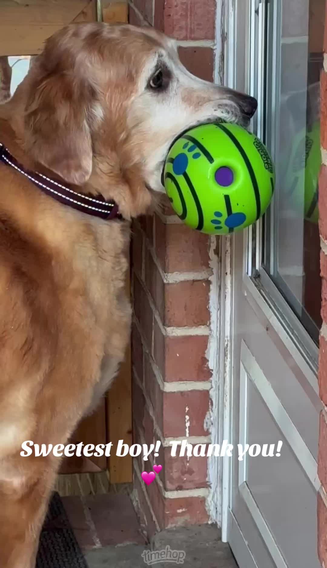 @lifewithduke2025