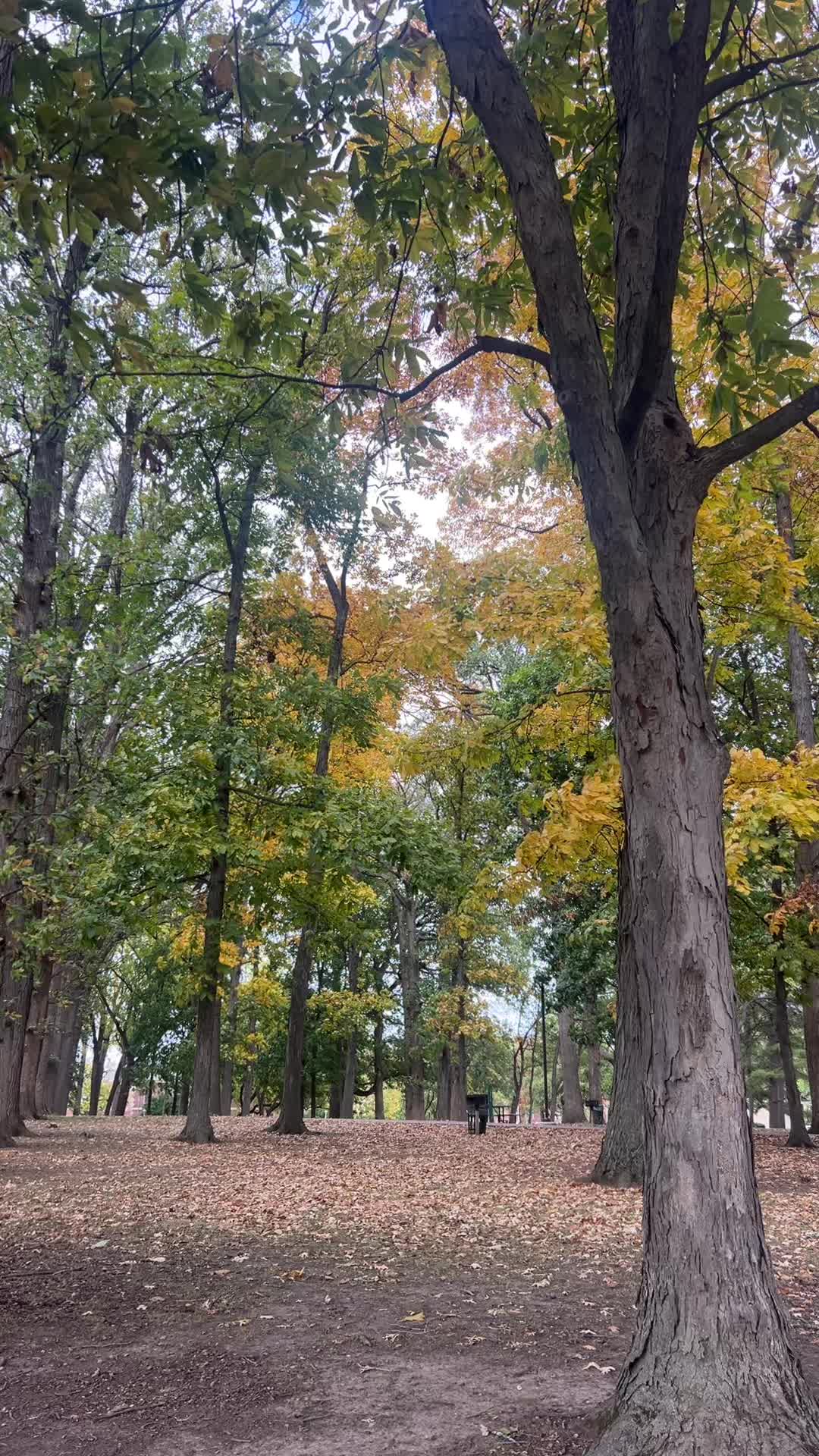 @cp