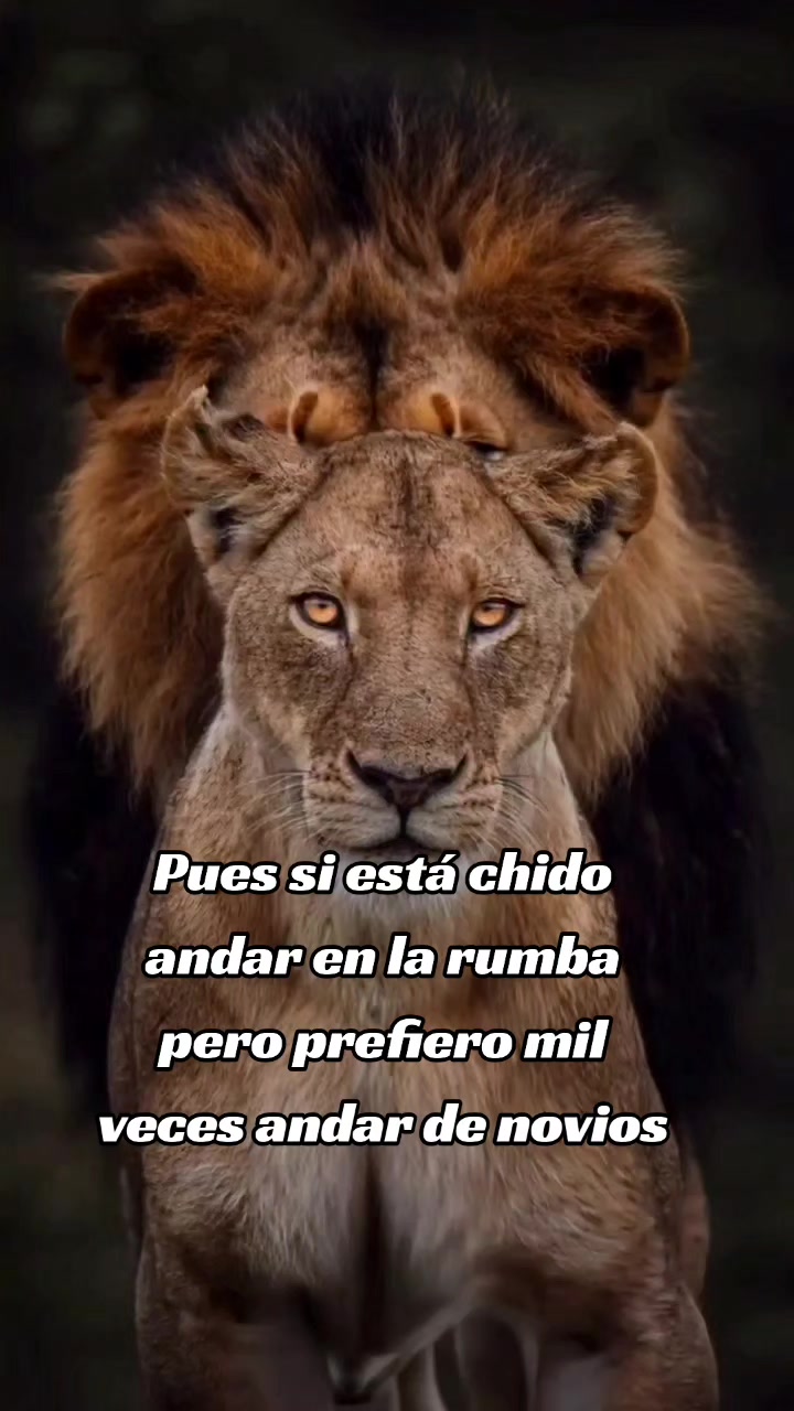 @ulises