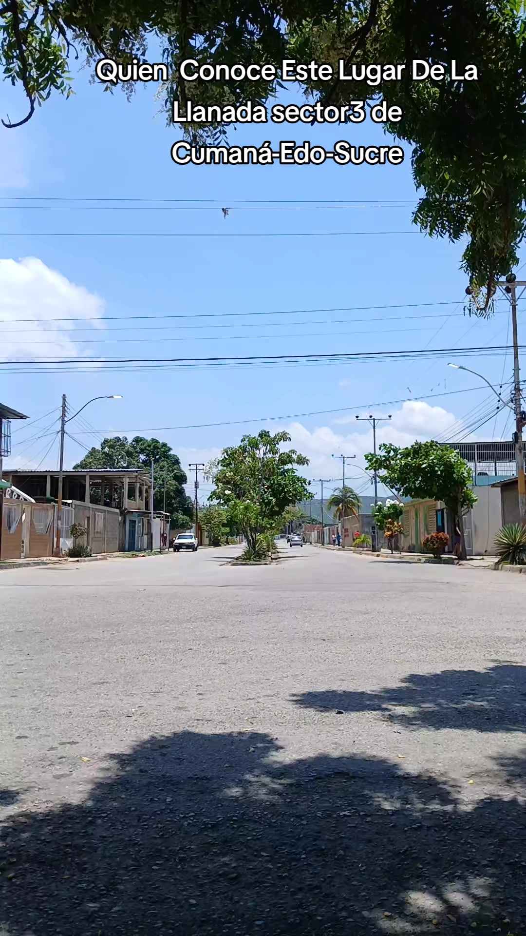 @WILSON Cardenas(oficial)