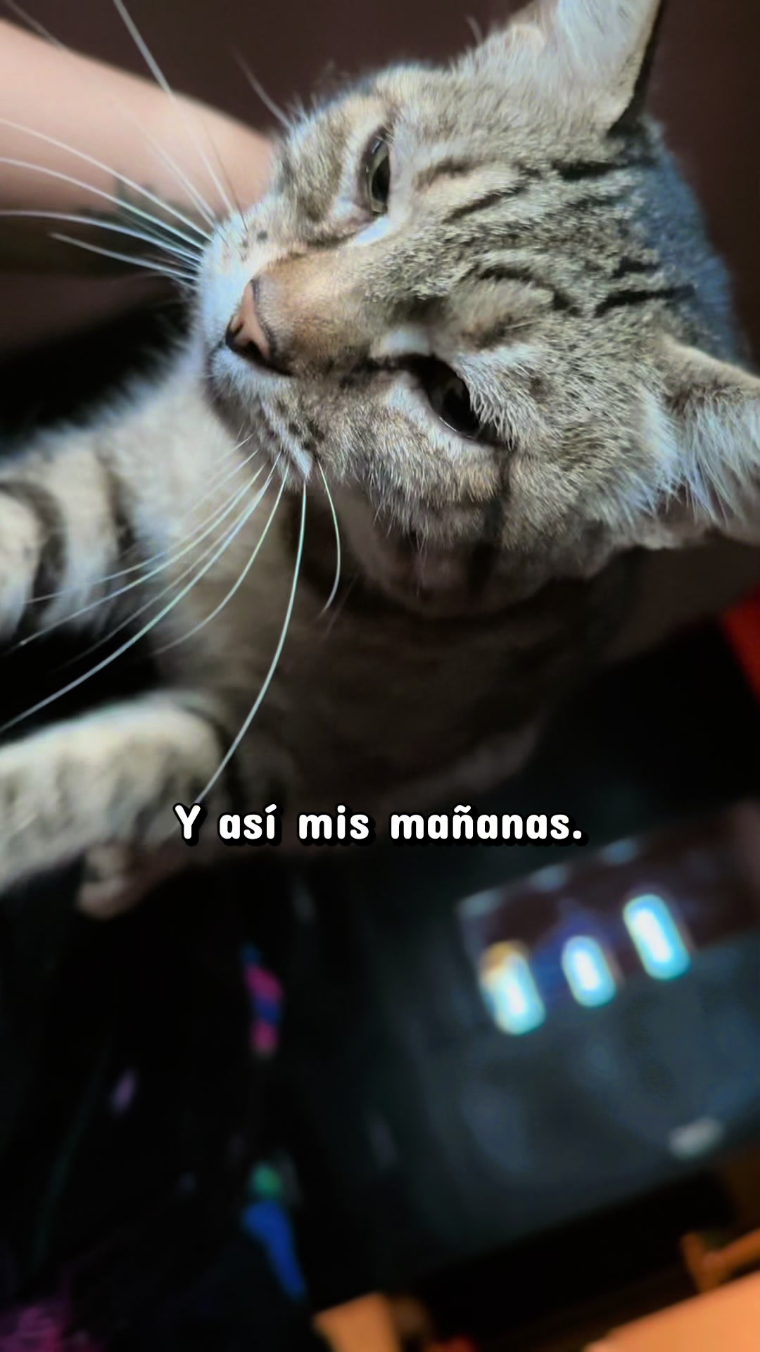 @Mimi Contreras❤💋🌻♌✨✨