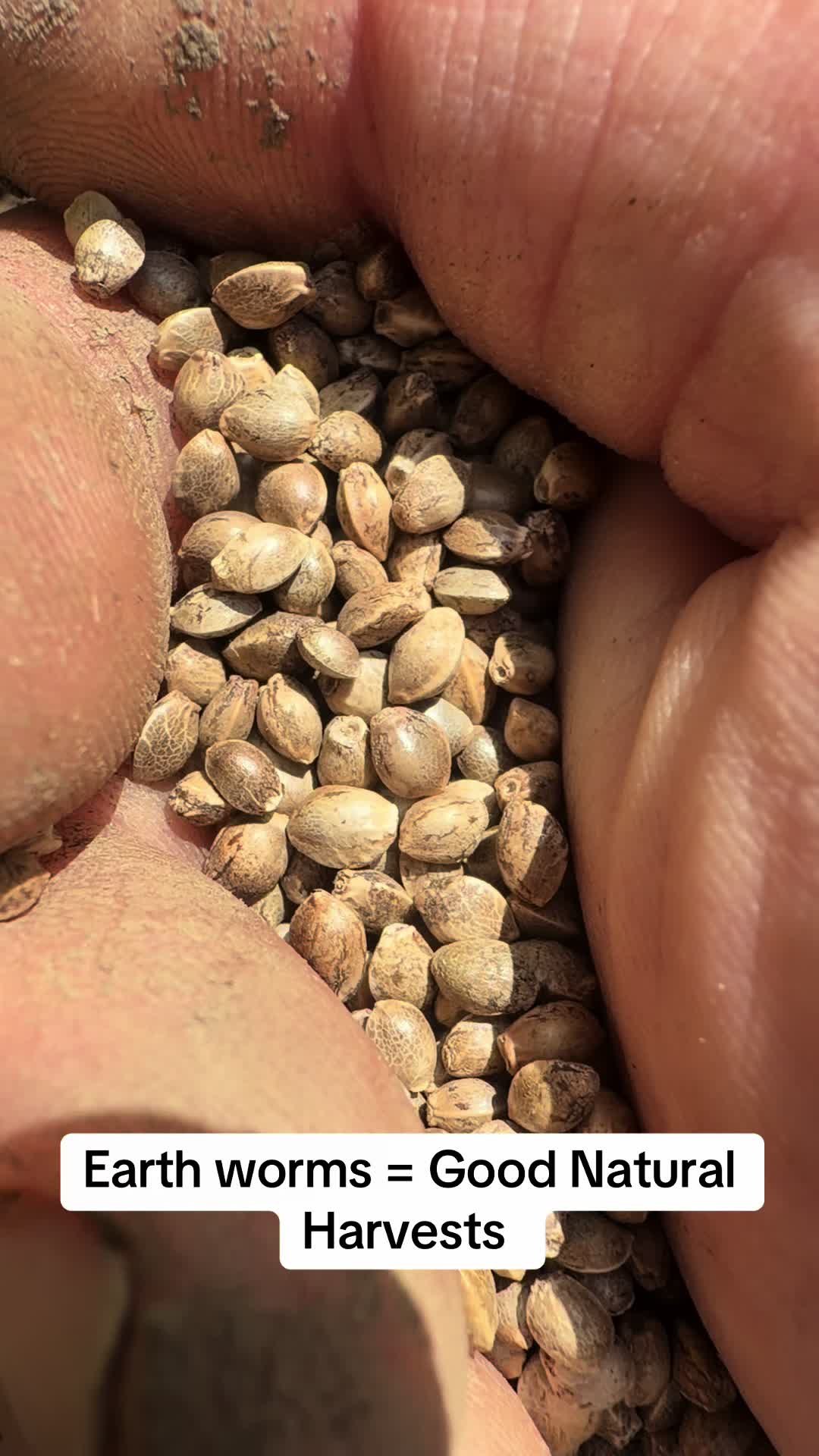 @SEEDTIVA