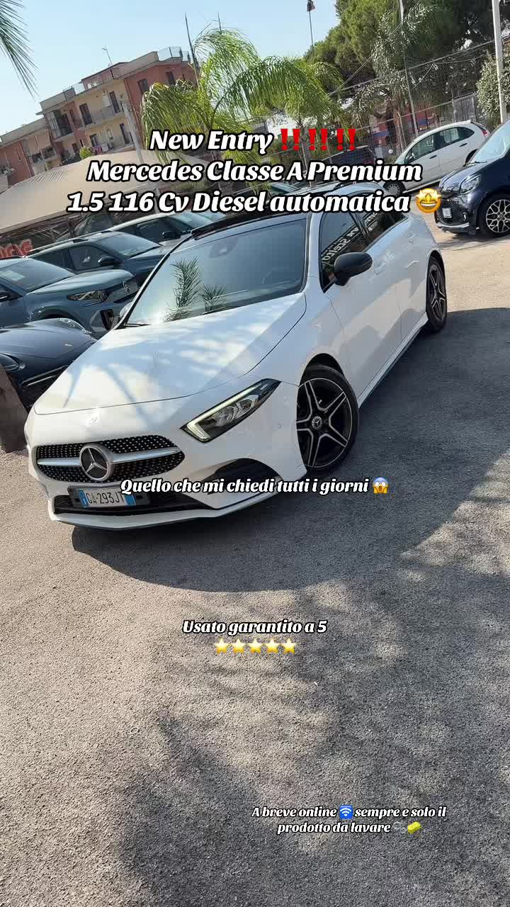 @AUTOIMMAGINE