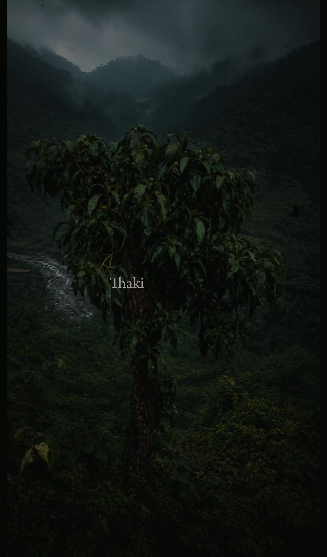 @yaad