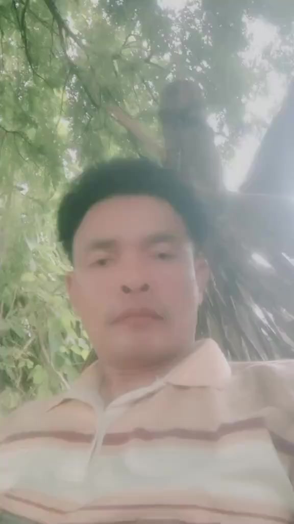 @user4529090568469