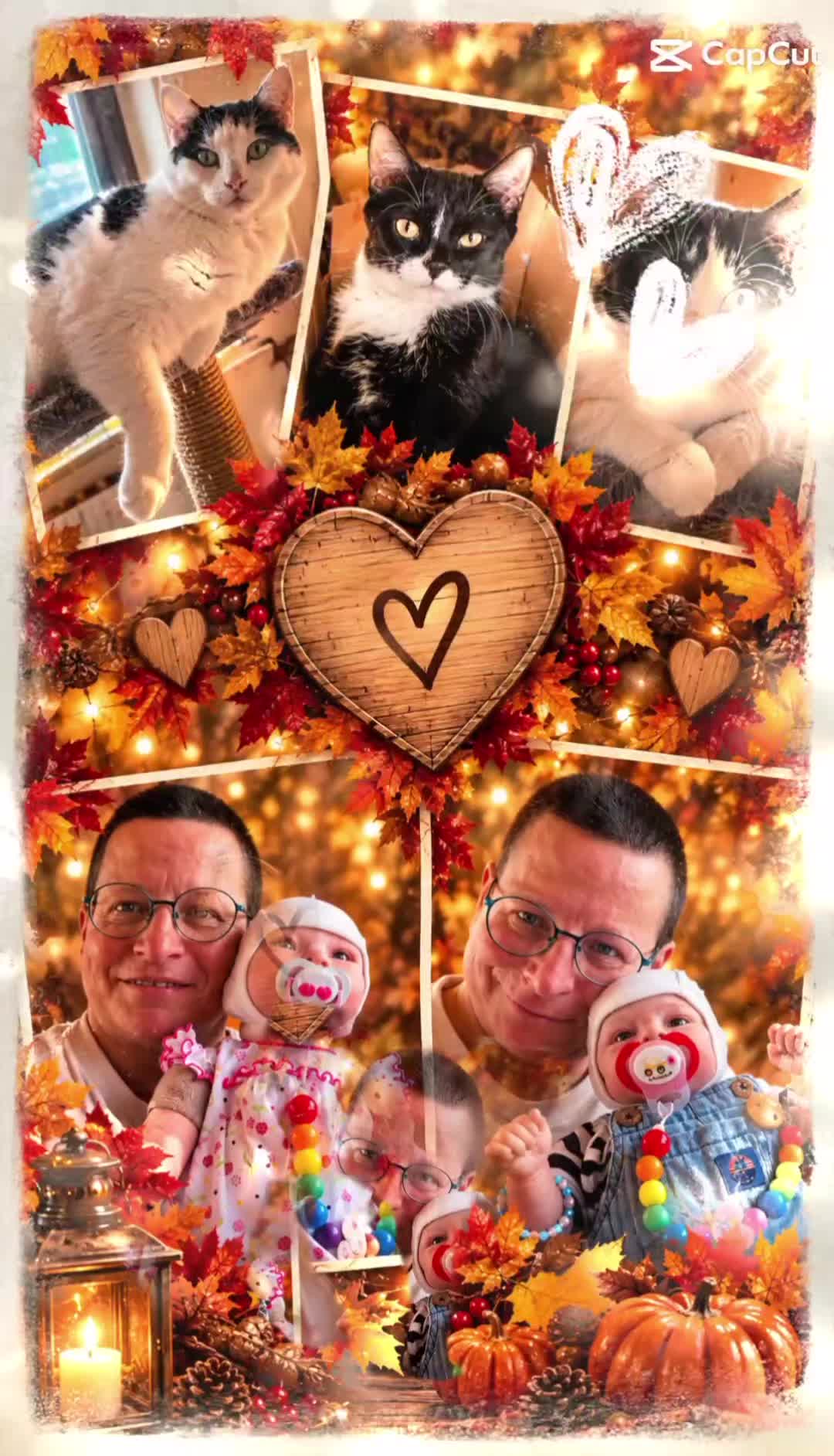 @Melanie Burg katzenstein😻😺😽