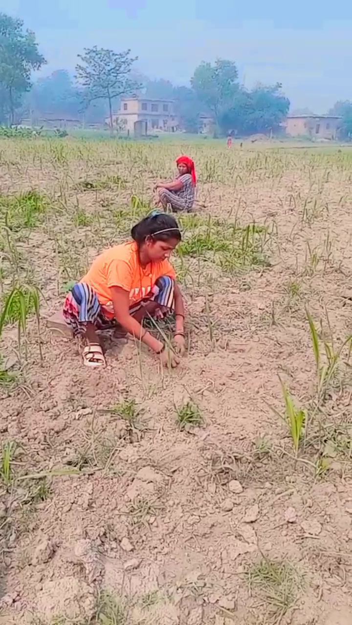 @rajgautam5859