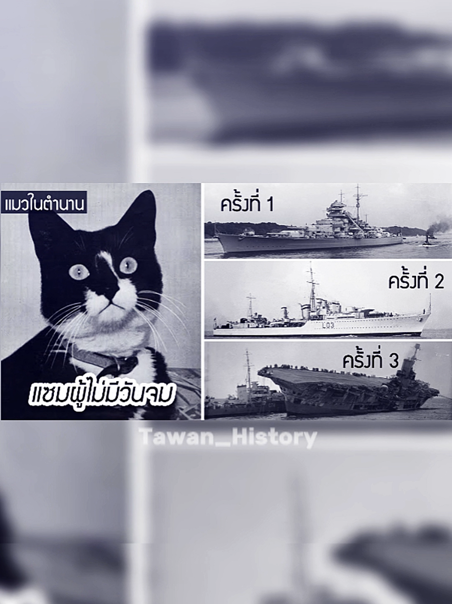@TAWAN_HISTORY🌍🕊️