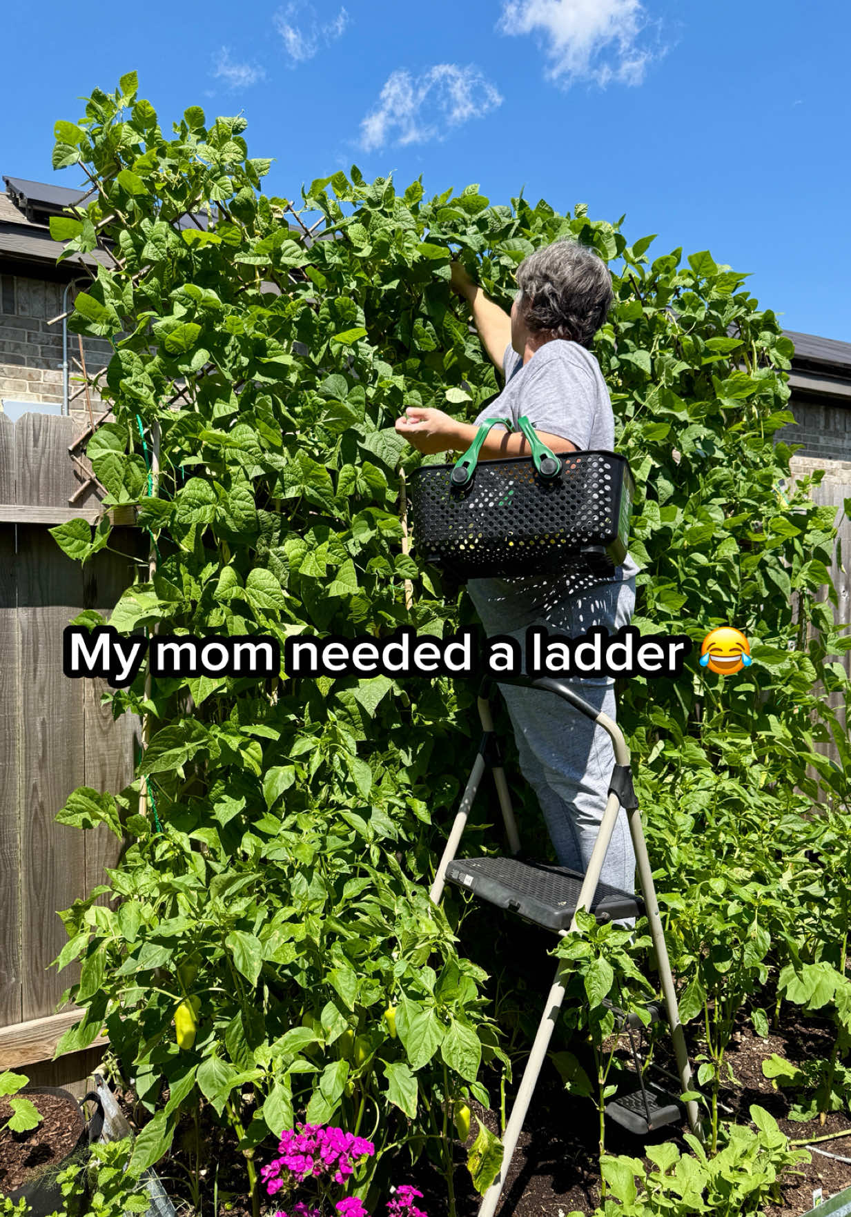 @Sara&rsquo;s Bites 🌱