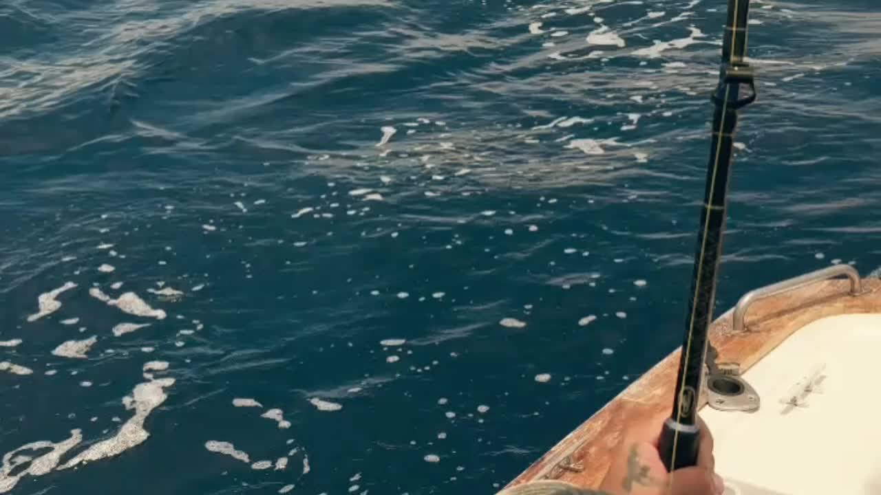 @SunnyFishingCR