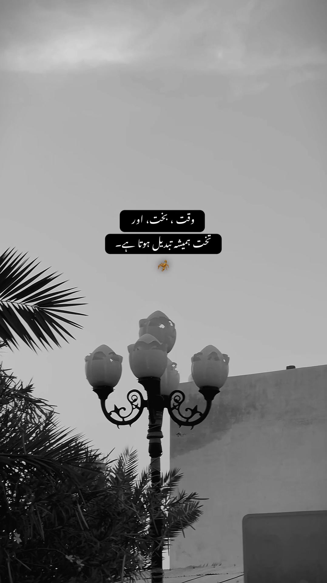 @&bull; 𝐒𝐇𝐀𝐌 ✦