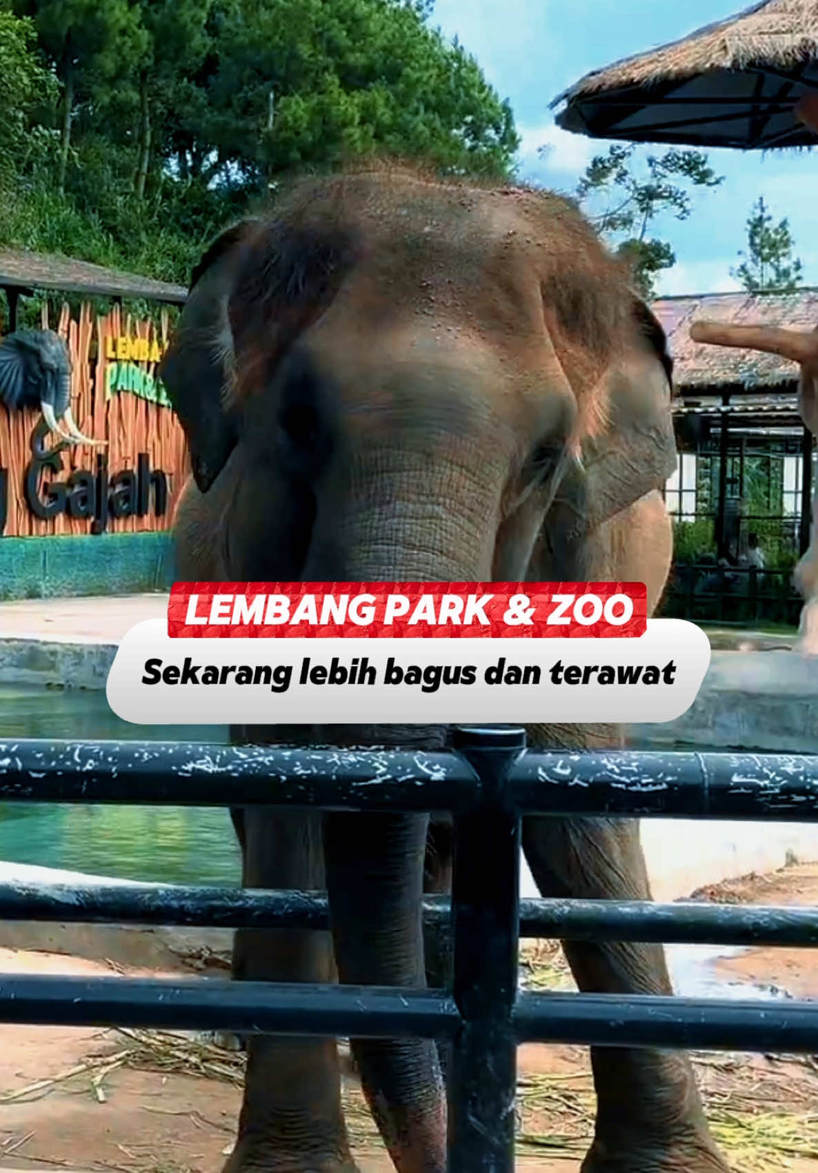 @sebentarsinggah