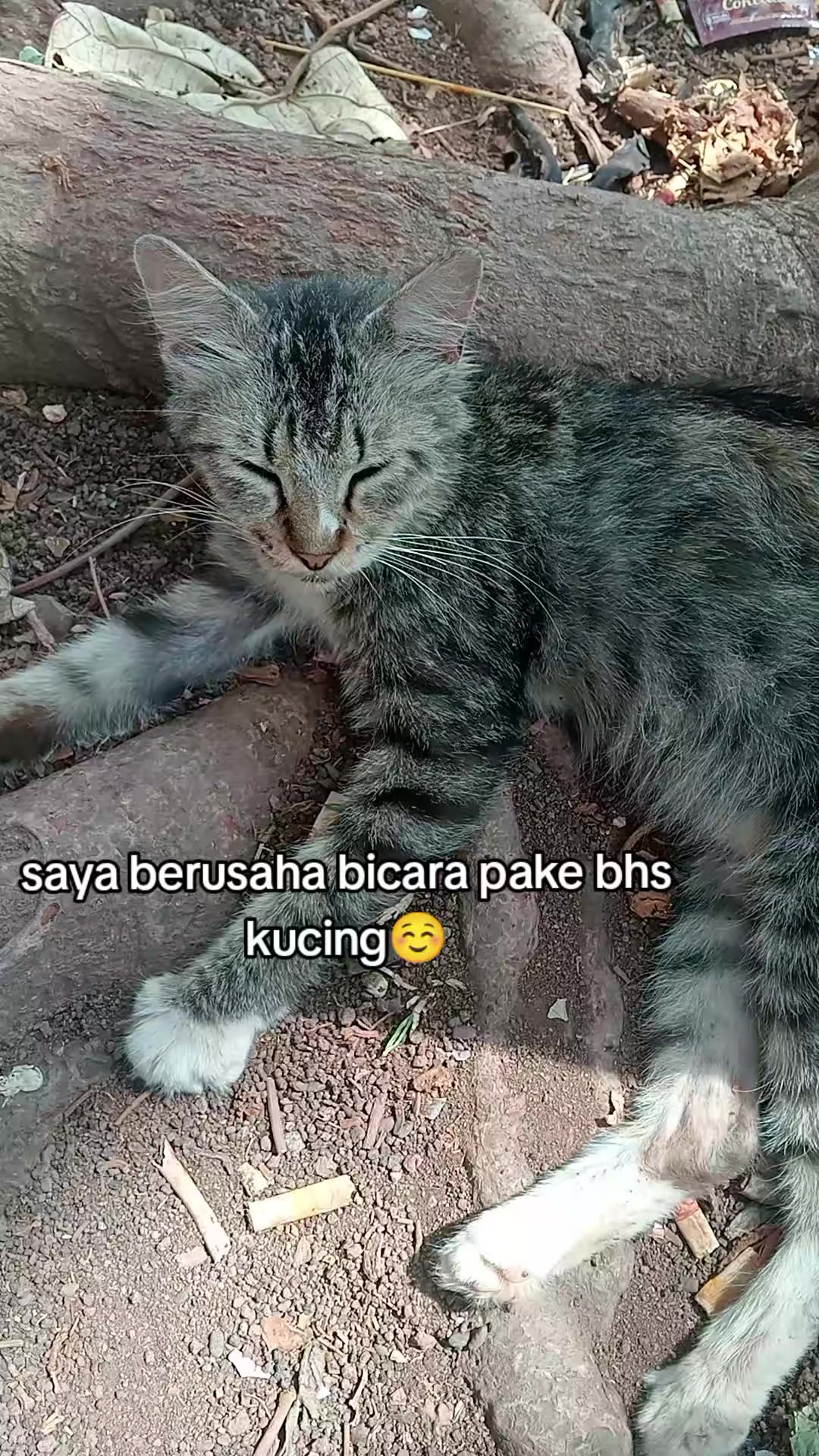 @Lina herlina