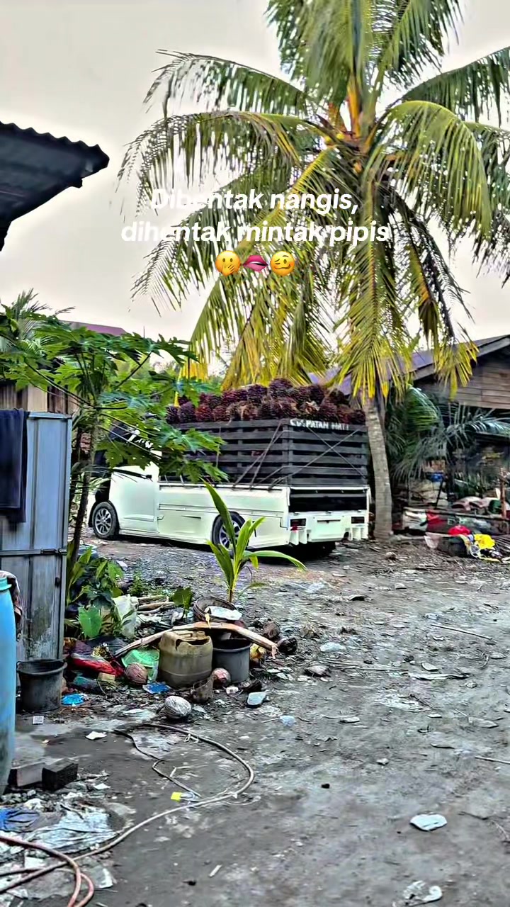 @Faizal Saputra