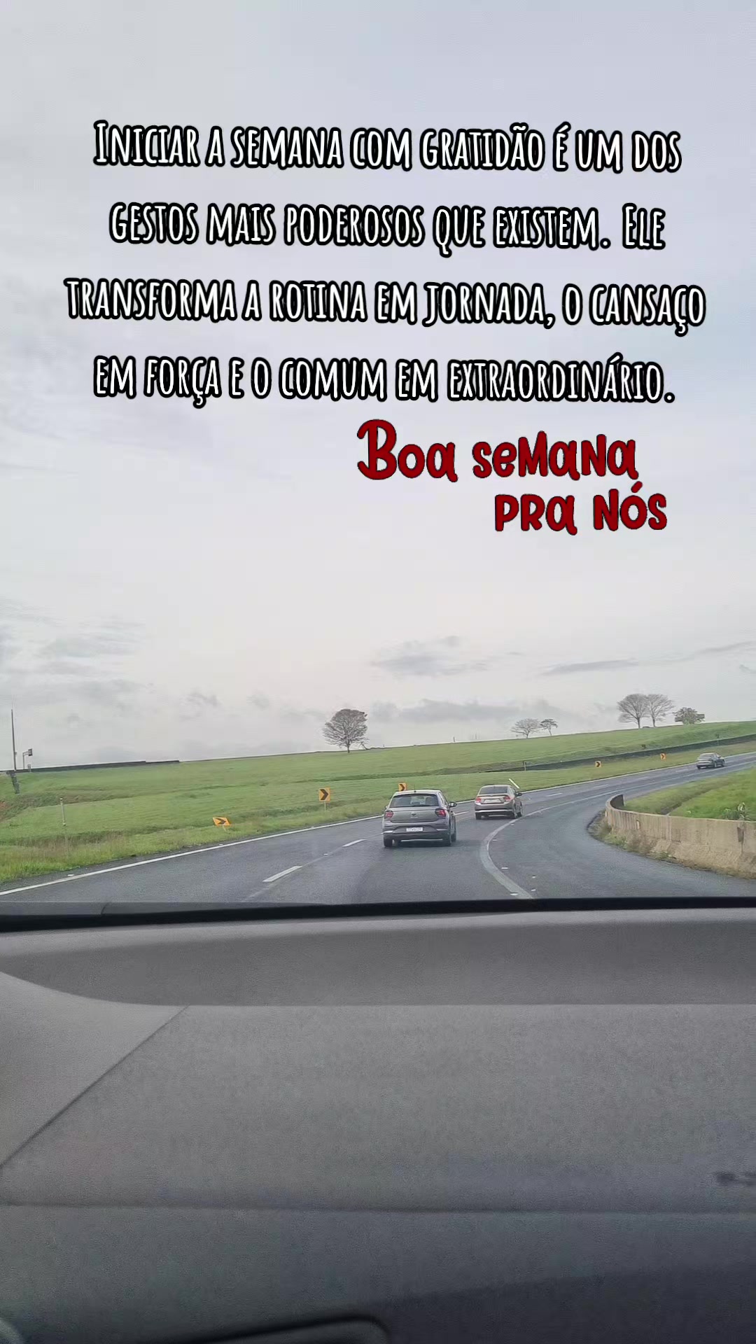 @meirecastilho932