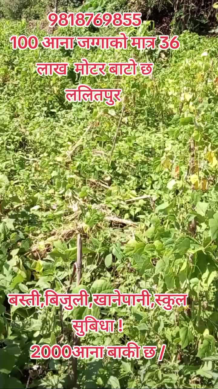 @9818769855