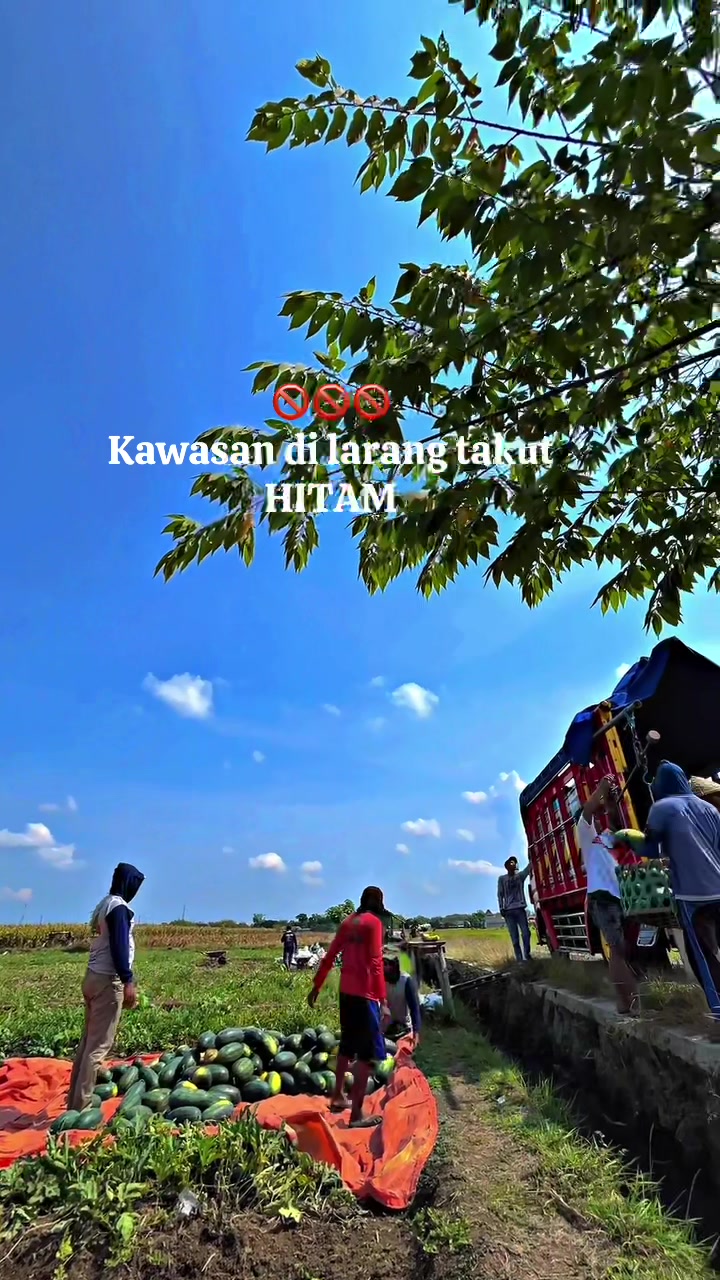 @Laras Buah