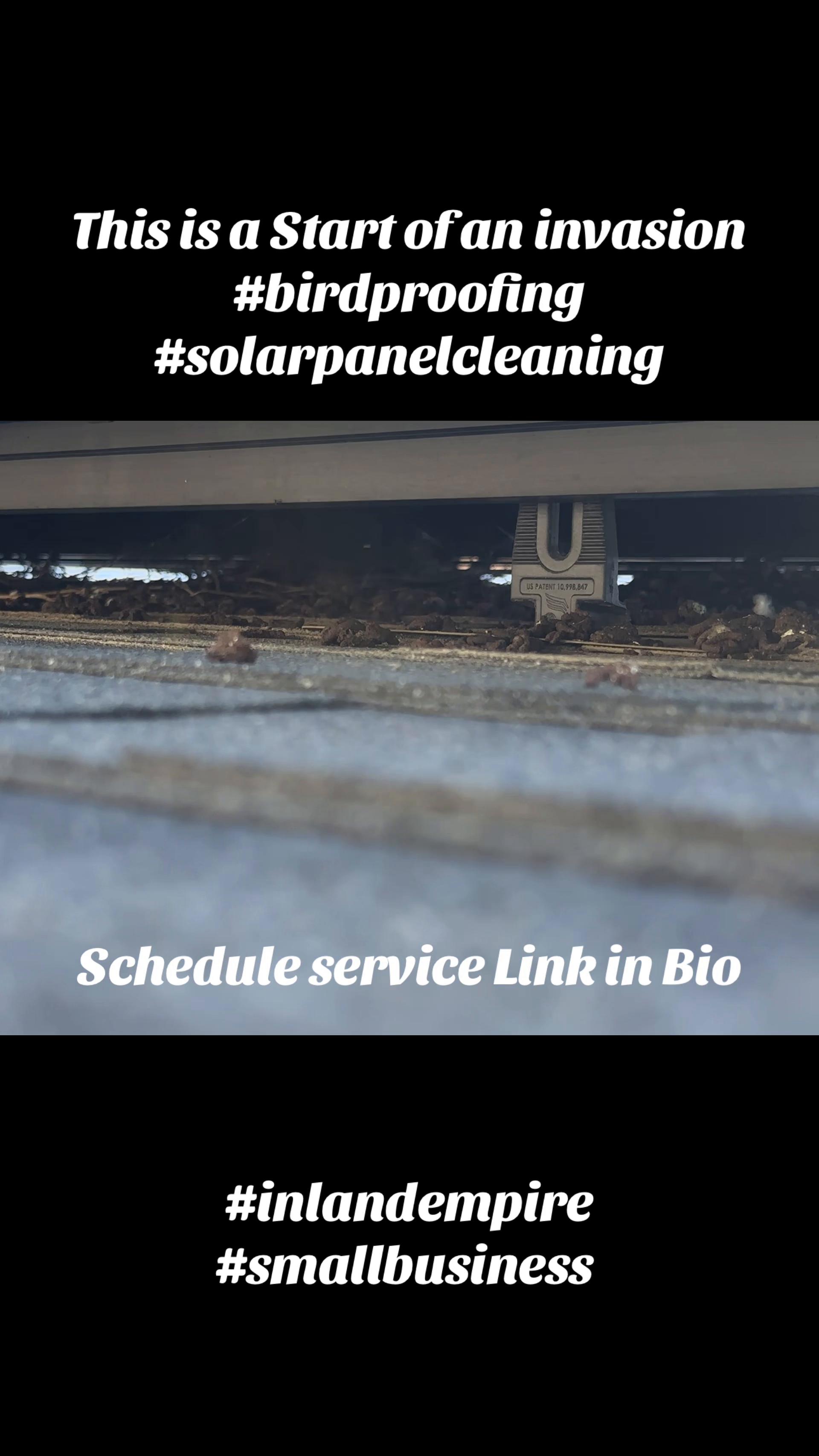 @Nick_HuuCal_Solar_Cleaning