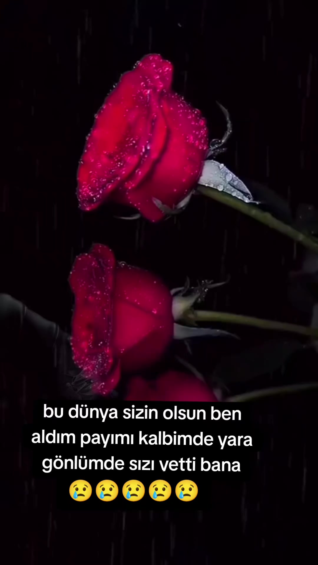 @Sevda🥰🥰