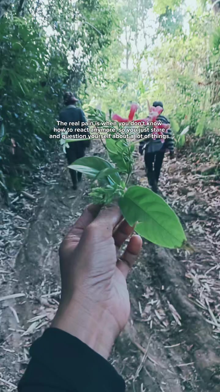 @Quenliey 🍁Faye🇹🇼🫶🇵🇭