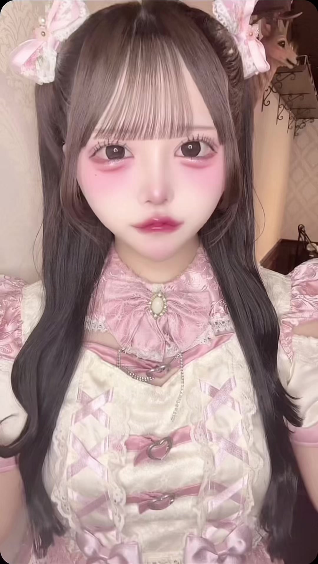 @ミヌエット爆飼いTV