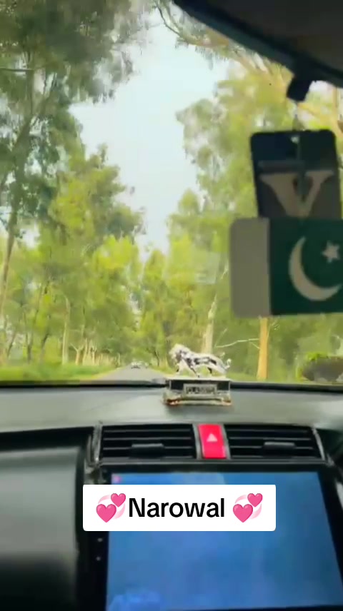 @waseemlohani7