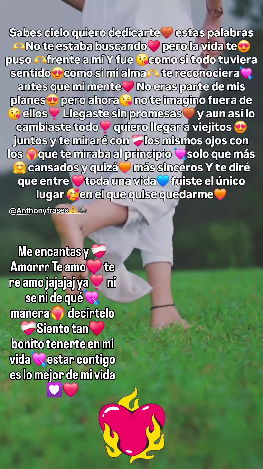 @Anthony frases⚠️🐘
