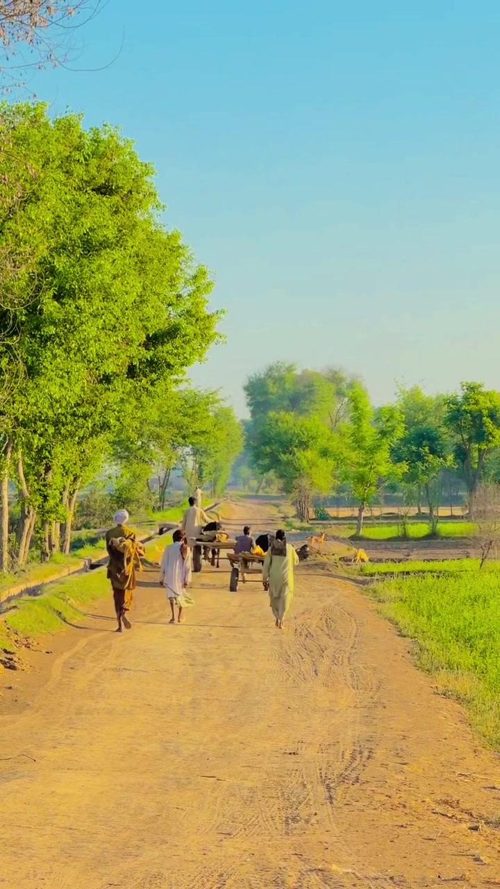 @سوہنا پنجاب🌾🫀