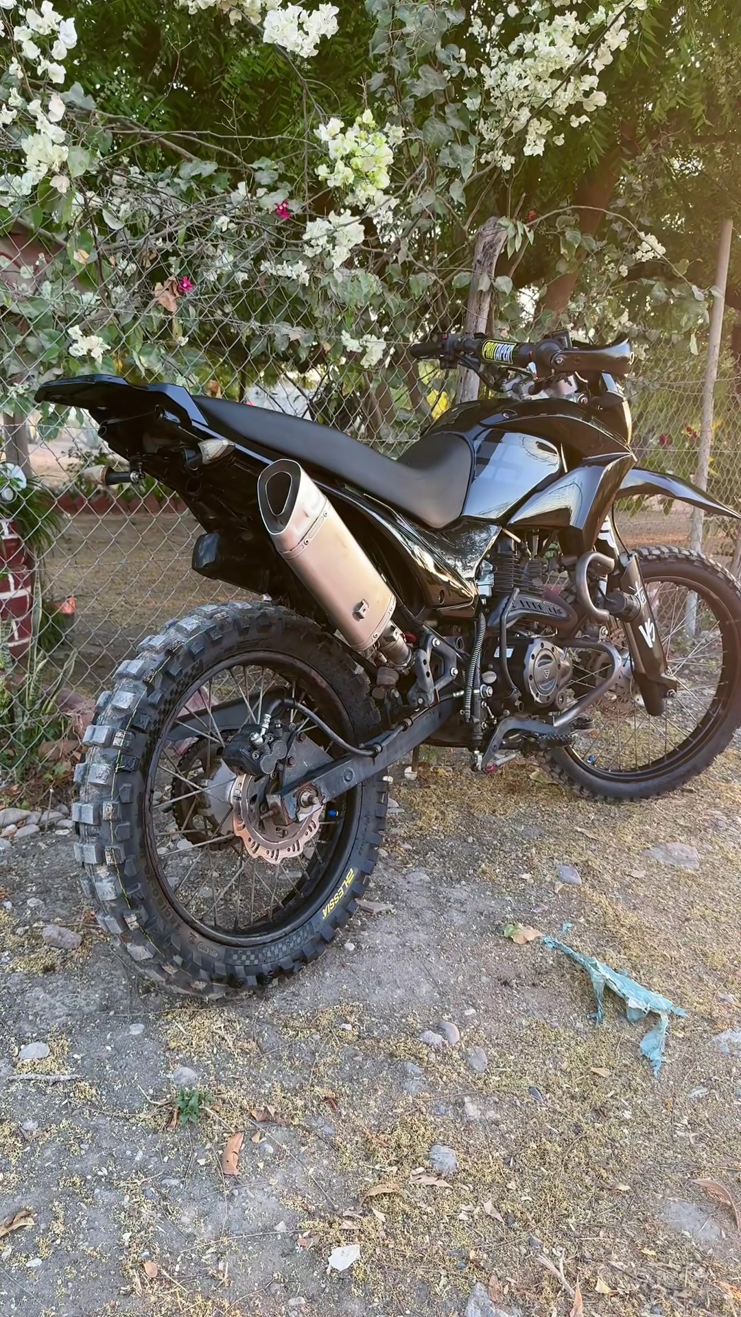@Roy Biker