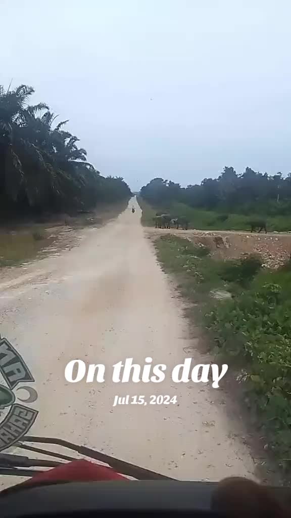 @abePi🌬️