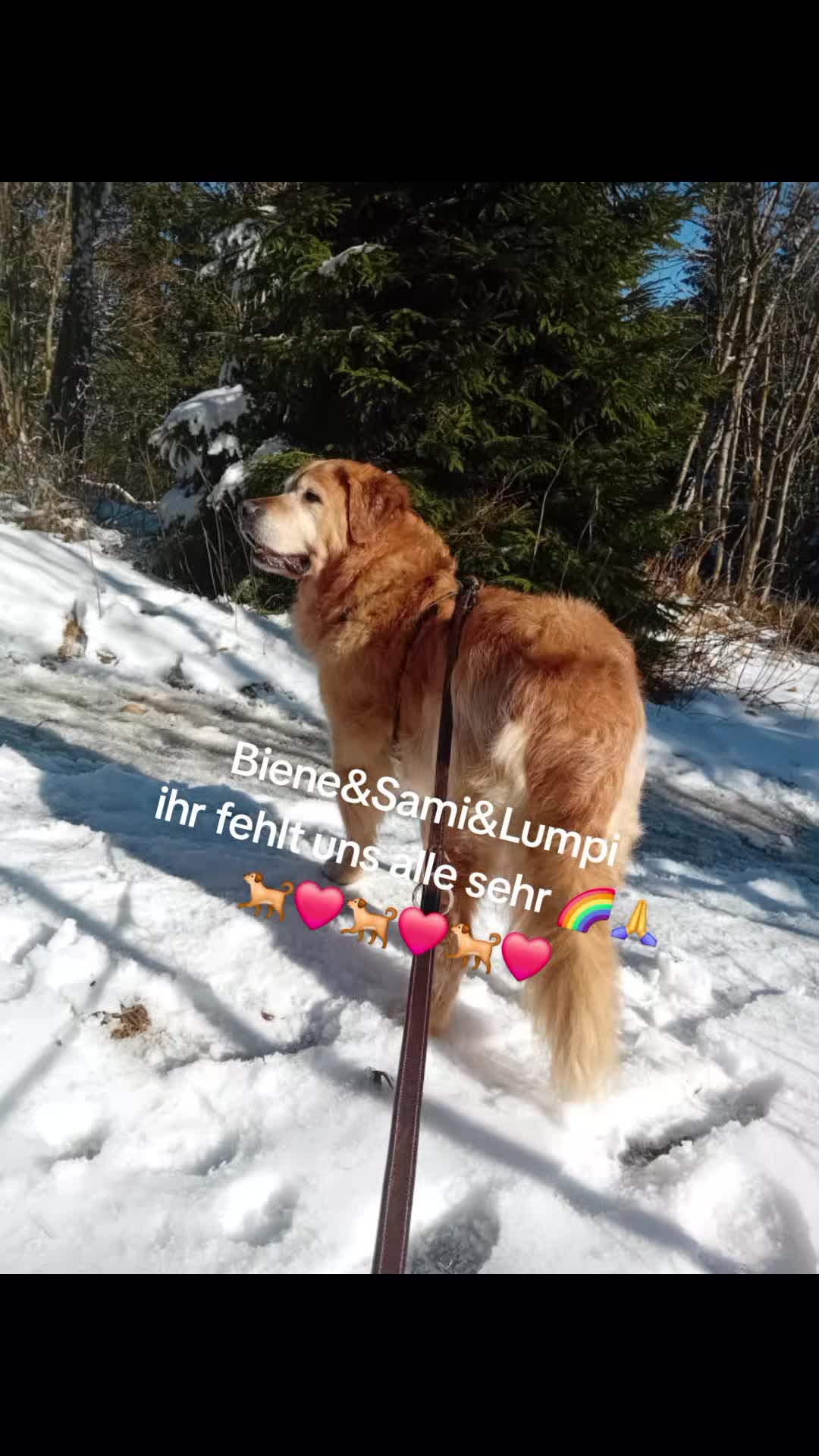 @Nina Lindner16