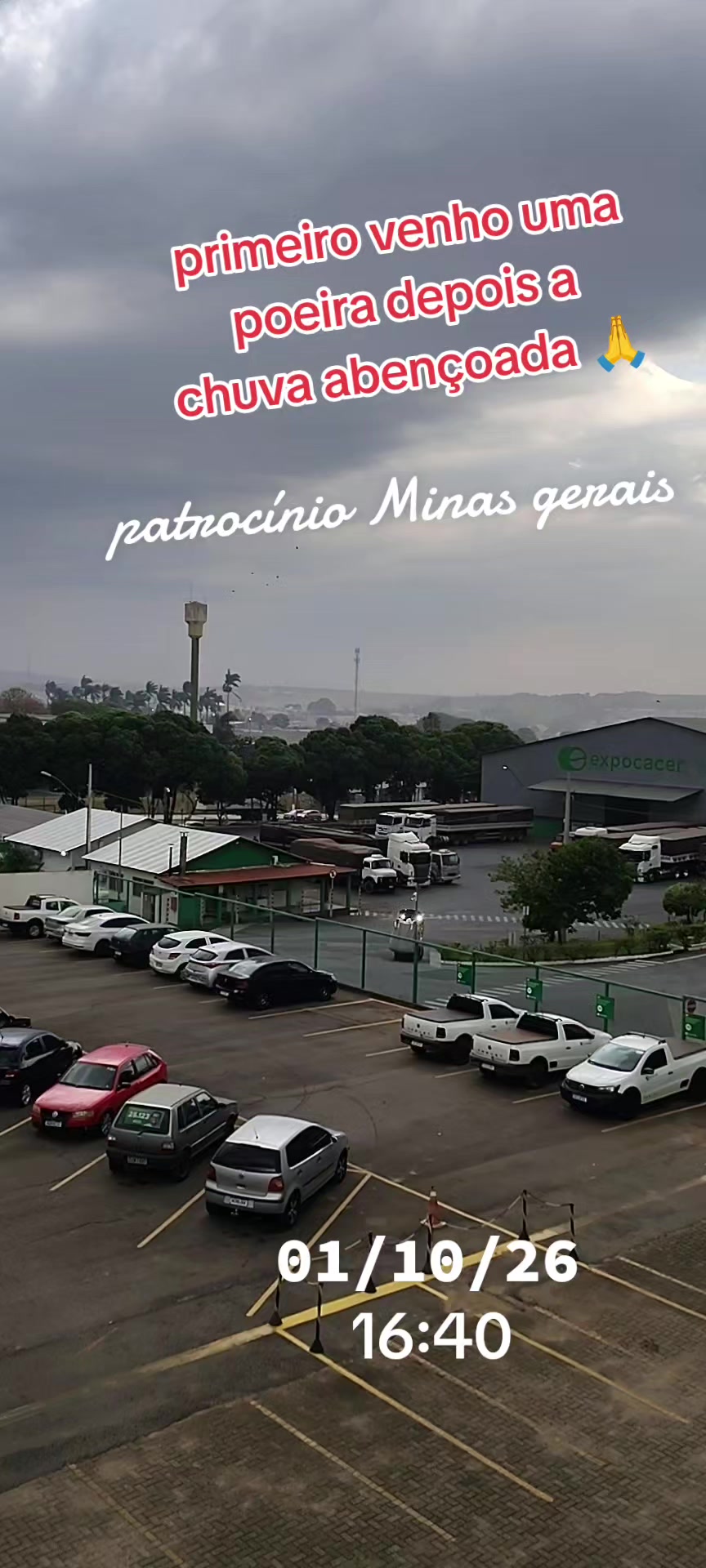 @aparecidamachado303