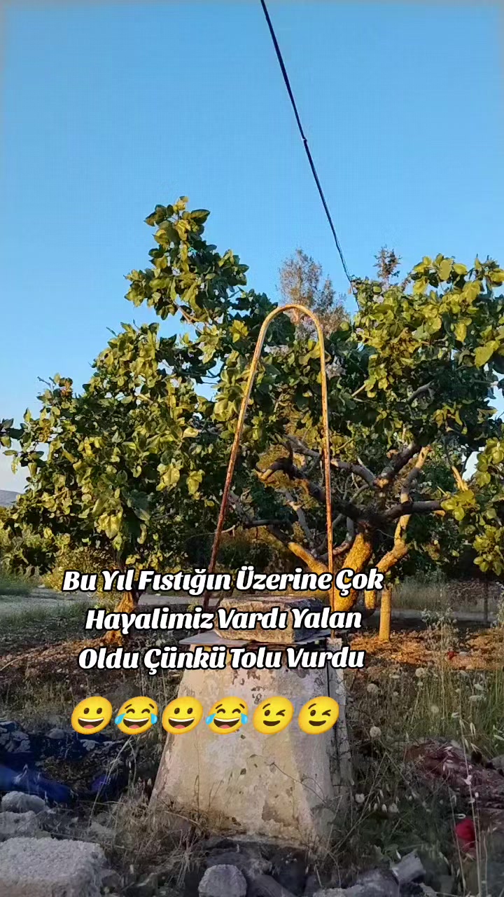 @&Ccedil;İLOĞLU KLASİĞİ
