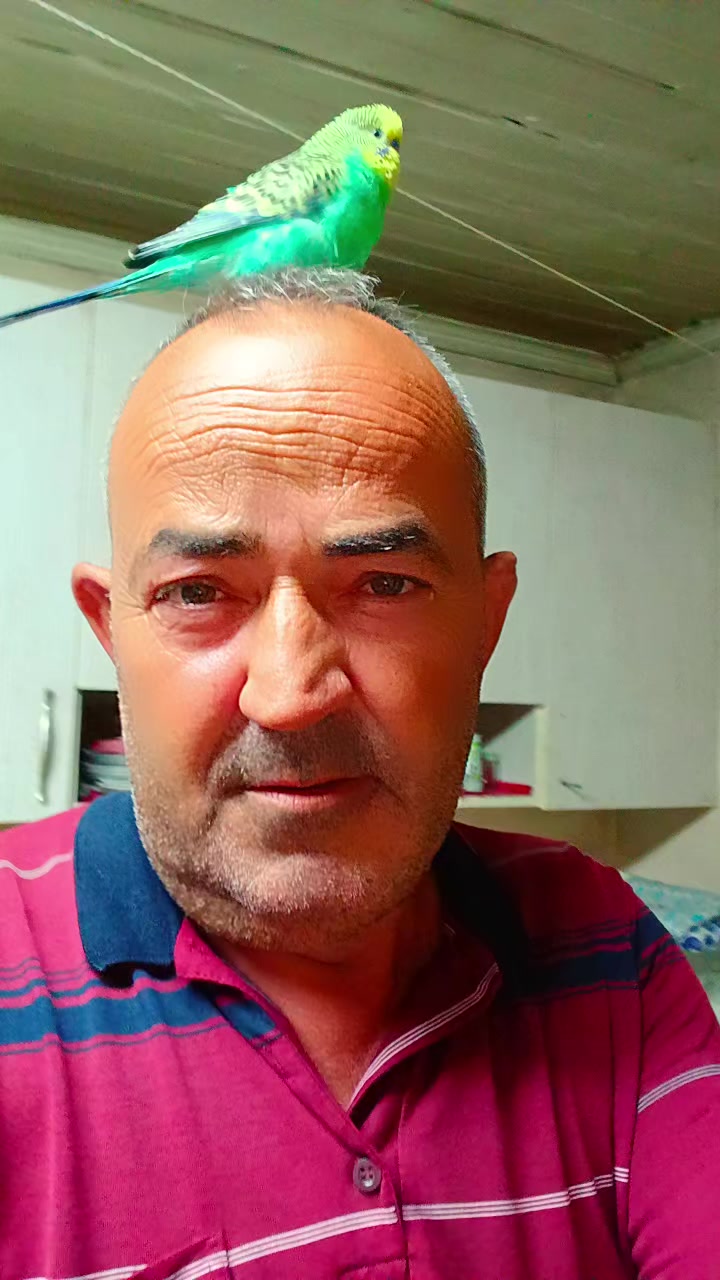@CENK AYRAK