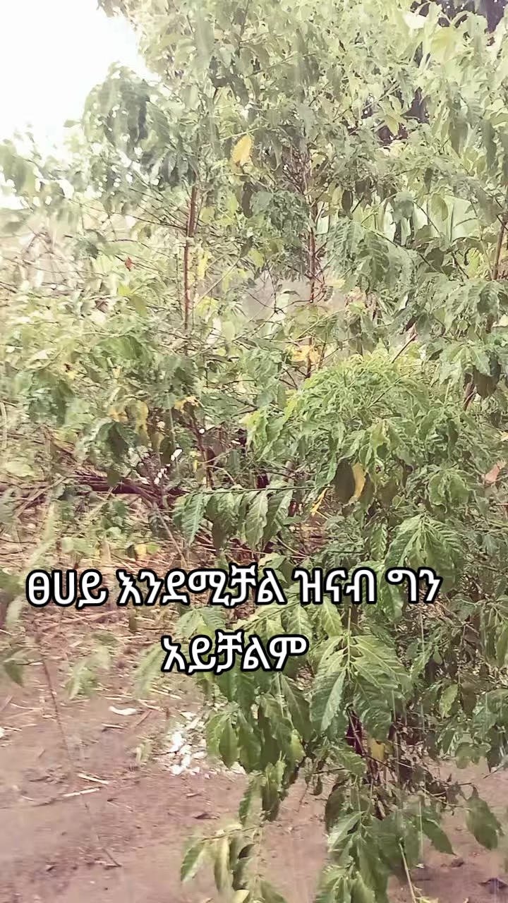 @ado1889