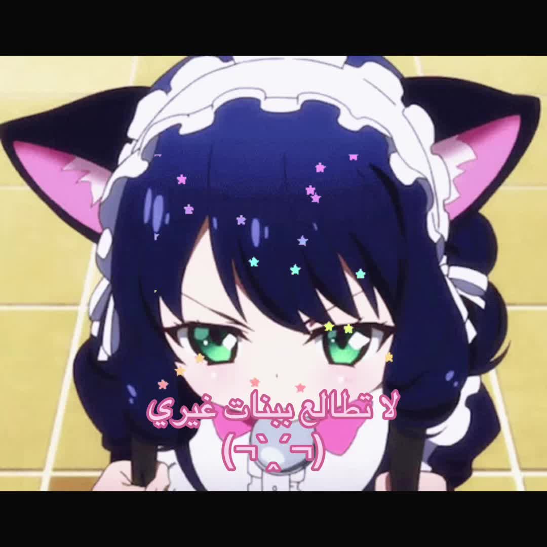 @Meow