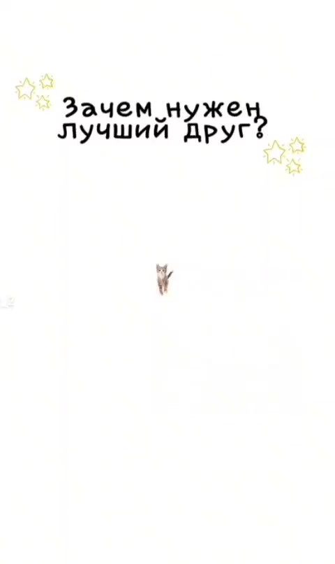 @Самокатыч :^)