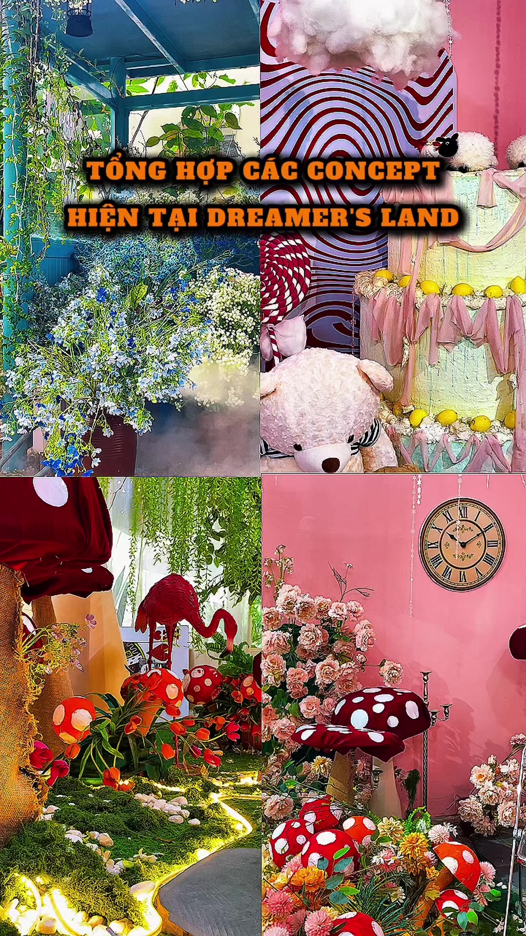 @Tiệm trà Dreamer’s Land