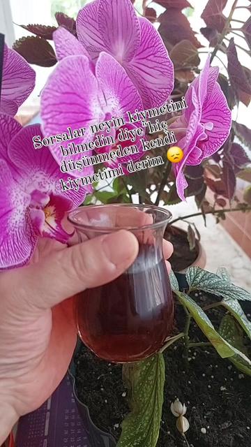 @Hediye Atasoy