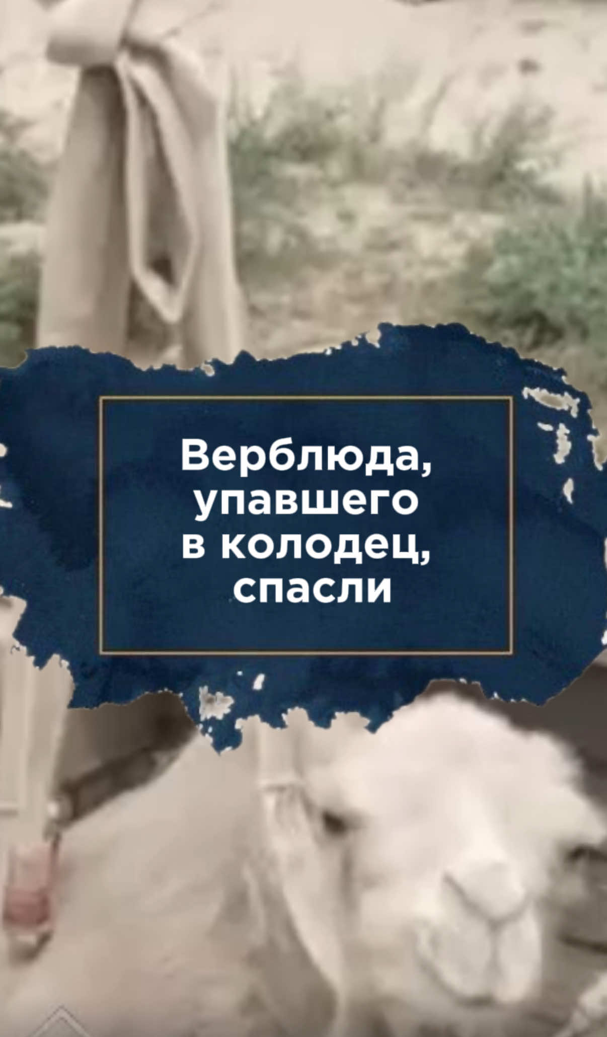 @zakon.kz ➡️ Новости Казахстана