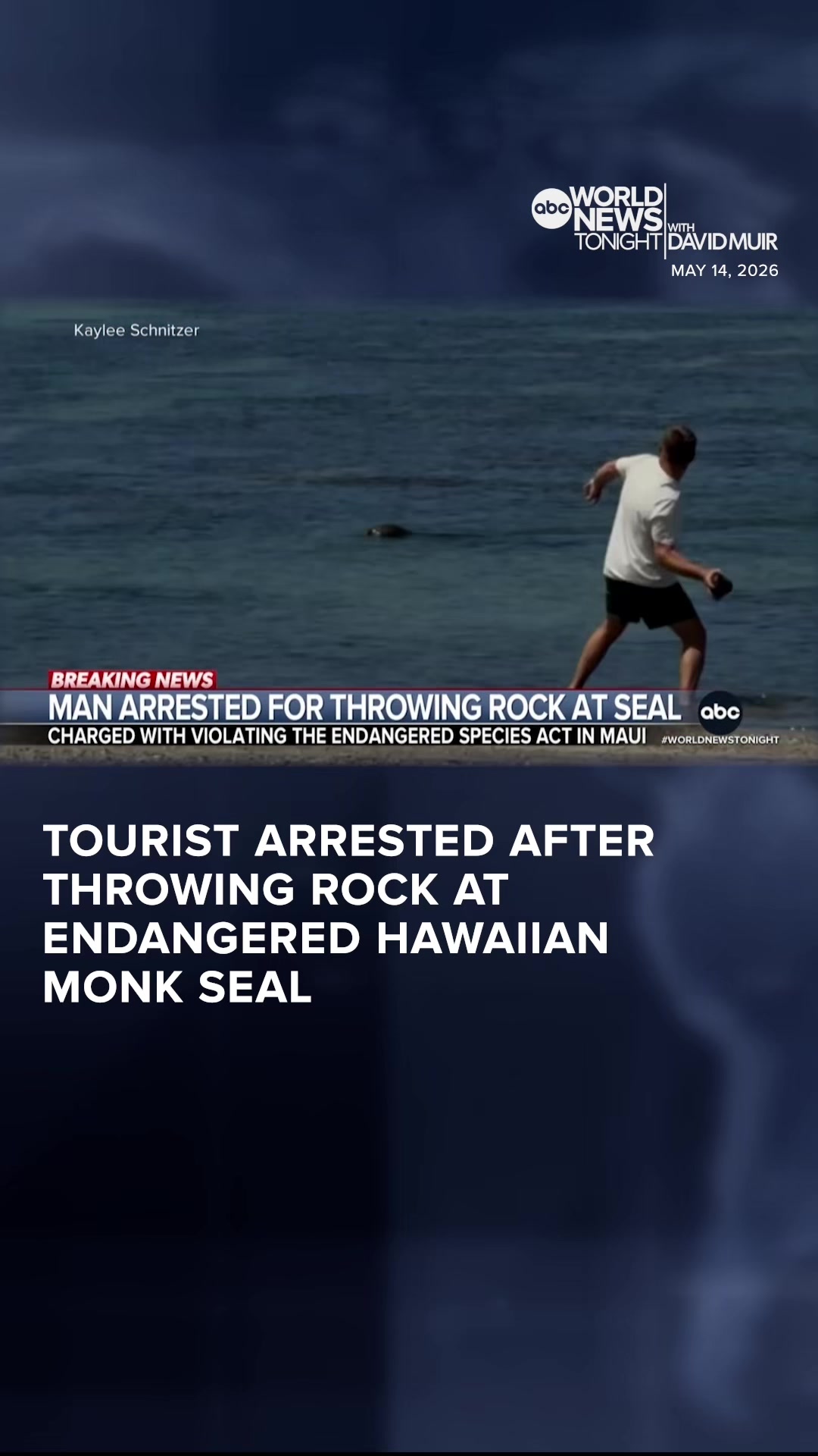 @ABC World News Tonight
